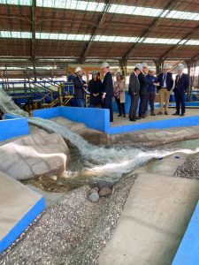 Asistentes a la sesión visitan el modelo físico del Embalse Ancoa.